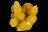Sunshine Cactus Quartz Crystal Cluster - South Africa #132885-1